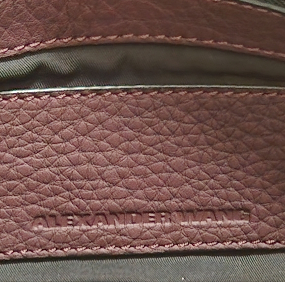 Alexander Wang Pebbled Calfskin Mini Rockie - Picture 13 of 13